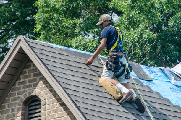 Roofing Contractor